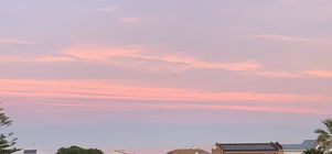 Get IN FLOW and enjoy the festive season 🎄🐋🐴☀️🏖️🍾