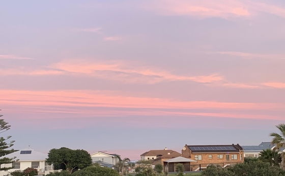 Get IN FLOW and enjoy the festive season 🎄🐋🐴☀️🏖️🍾