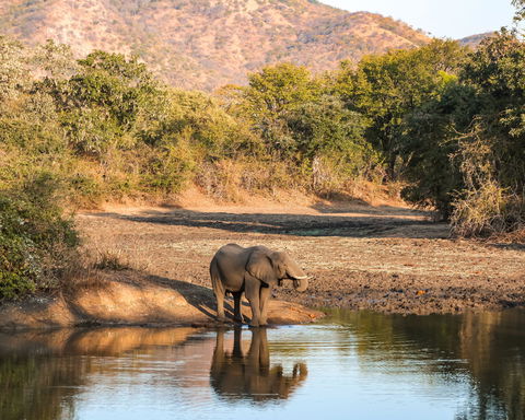 Long-Term Thinking, Local Impact.