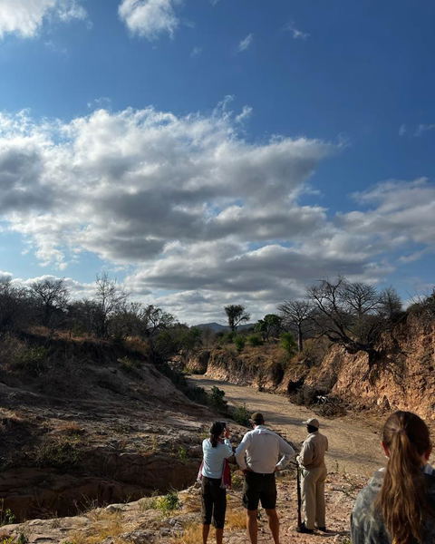 Guided Walks
