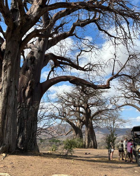 Day trips and excursions