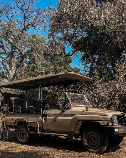Game Drives