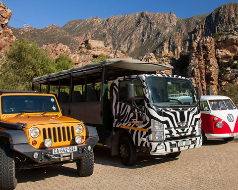 Wine Valley Safari Tours