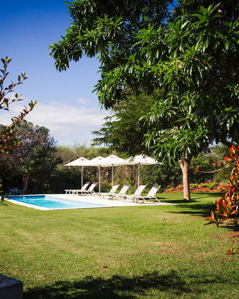 The Garden
