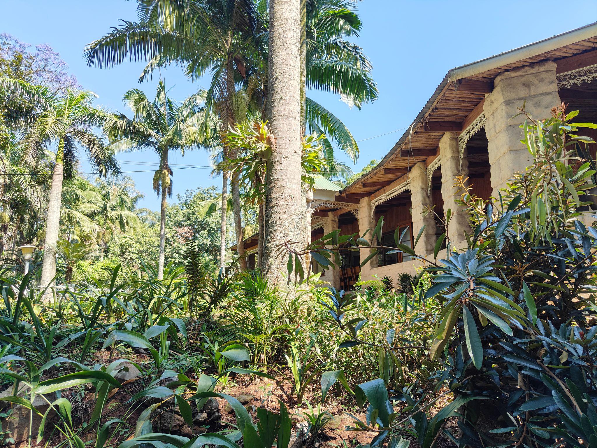 Home - Garden of Eden Cottages & Guest House