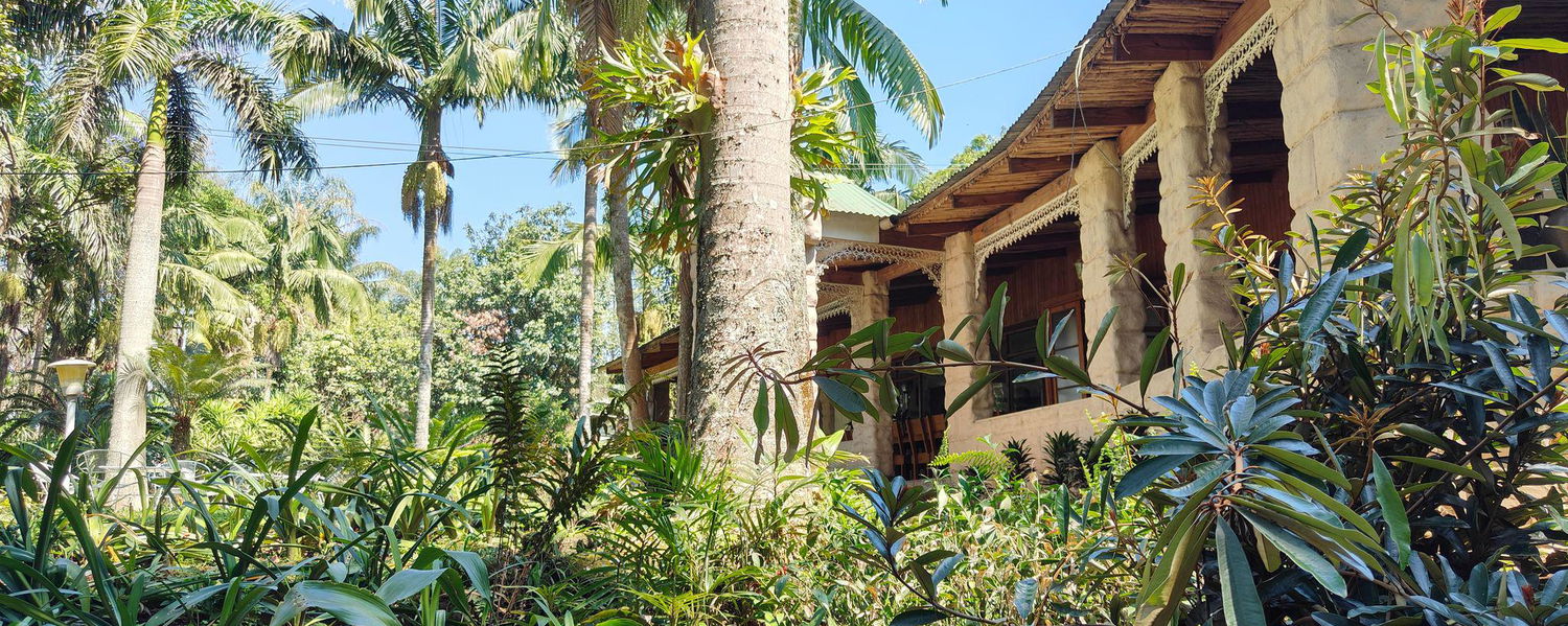 Your Place in Paradise