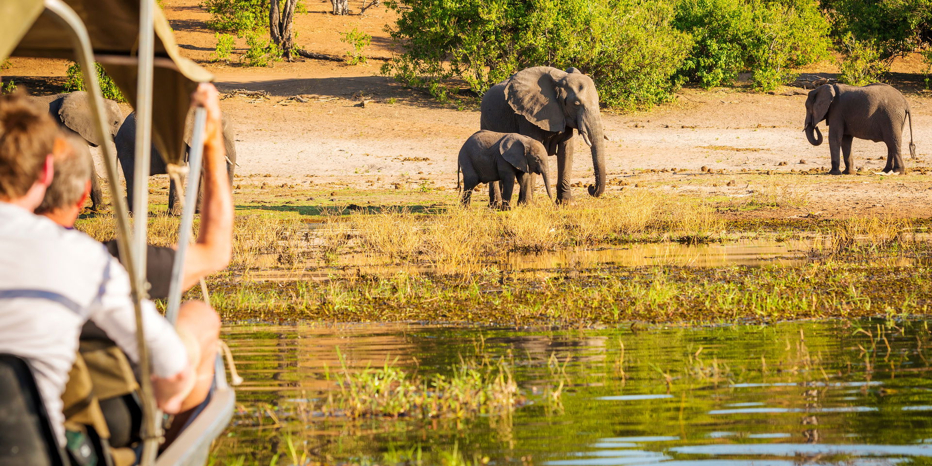 African Safari Landscape