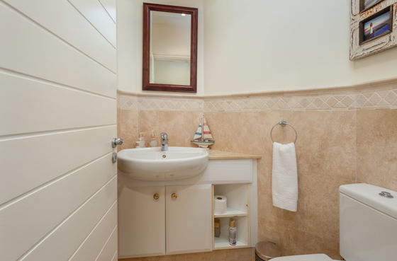 Guest bathroom