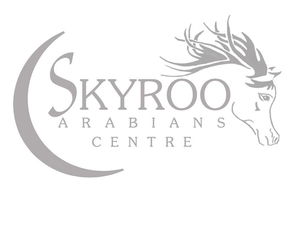 Skyroo Logo