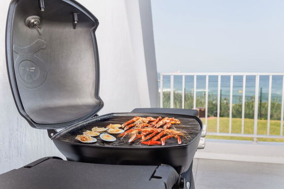 Balcony BBQ facilities