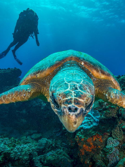 Experiences shaped by place, pace, and choice