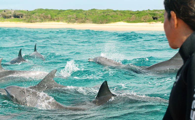 Ocean Safaris at White Pearl Resorts Mozambique