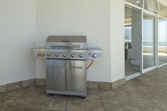 Gas Barbeque