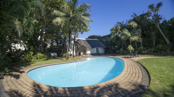 Communal Pool
