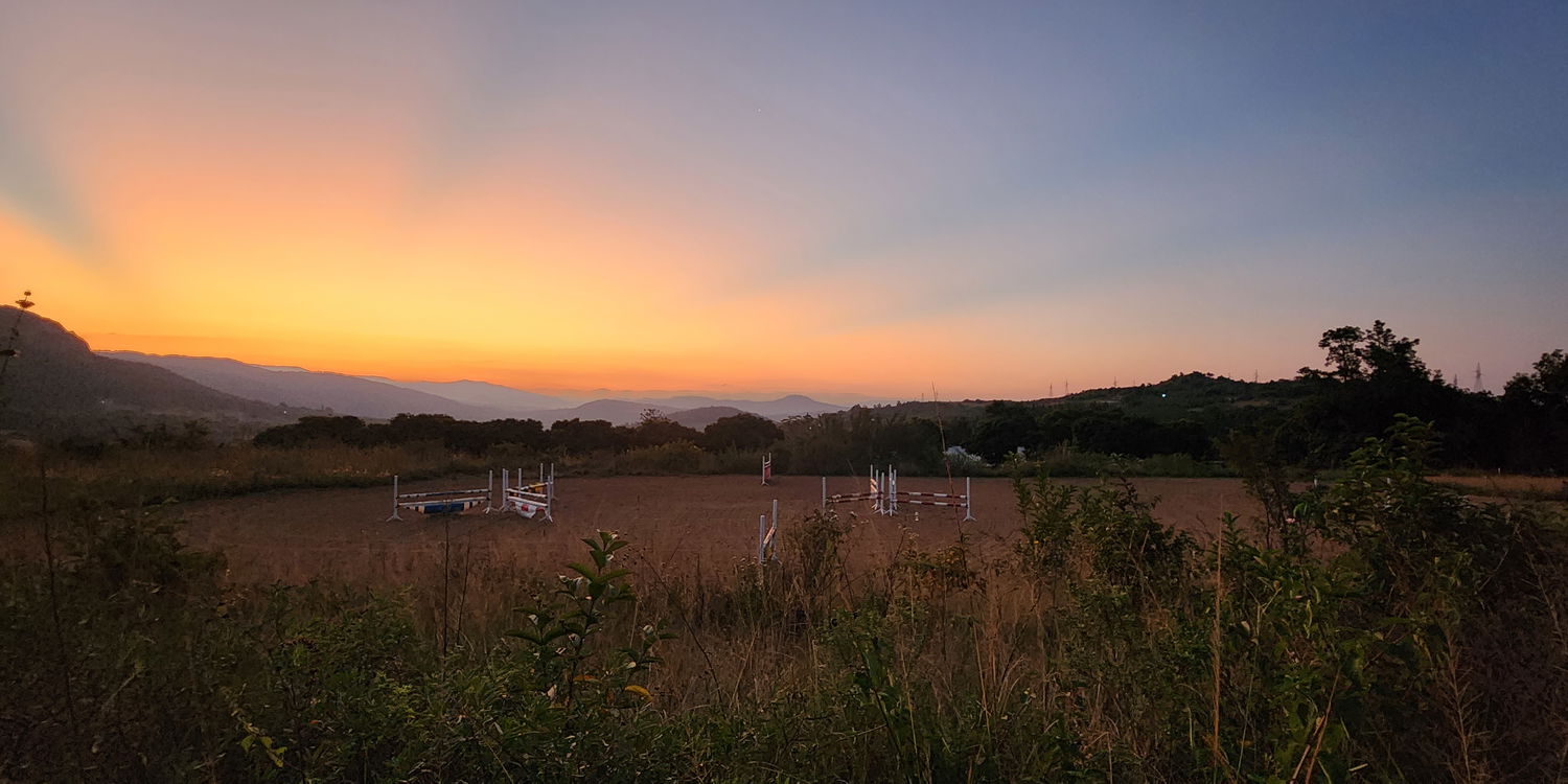 Welcome to Husband Equestrian