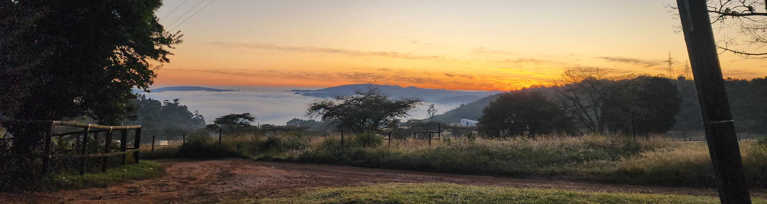 Skills You Can Trust