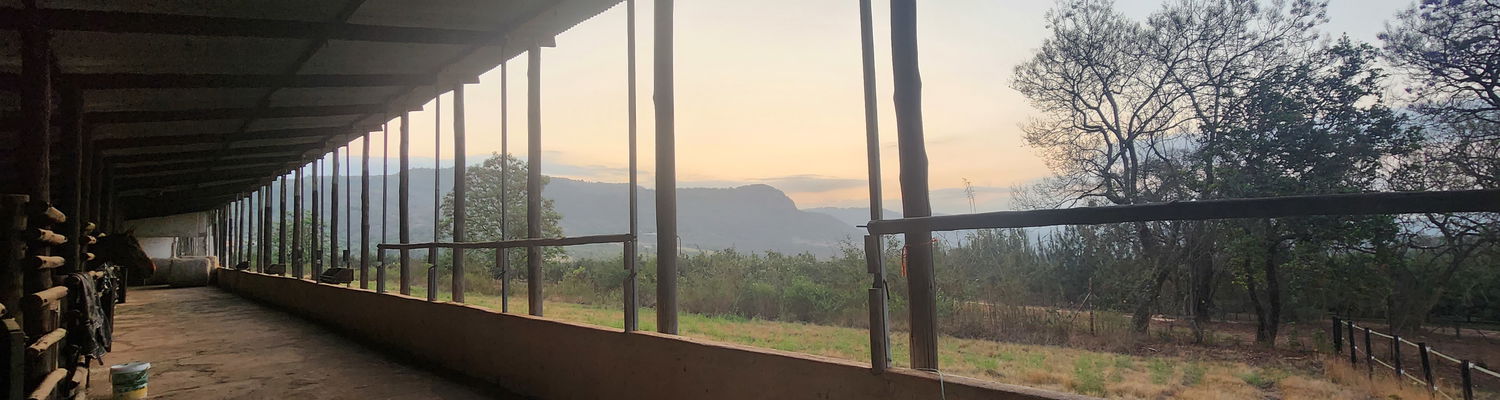 Personalised Guidance