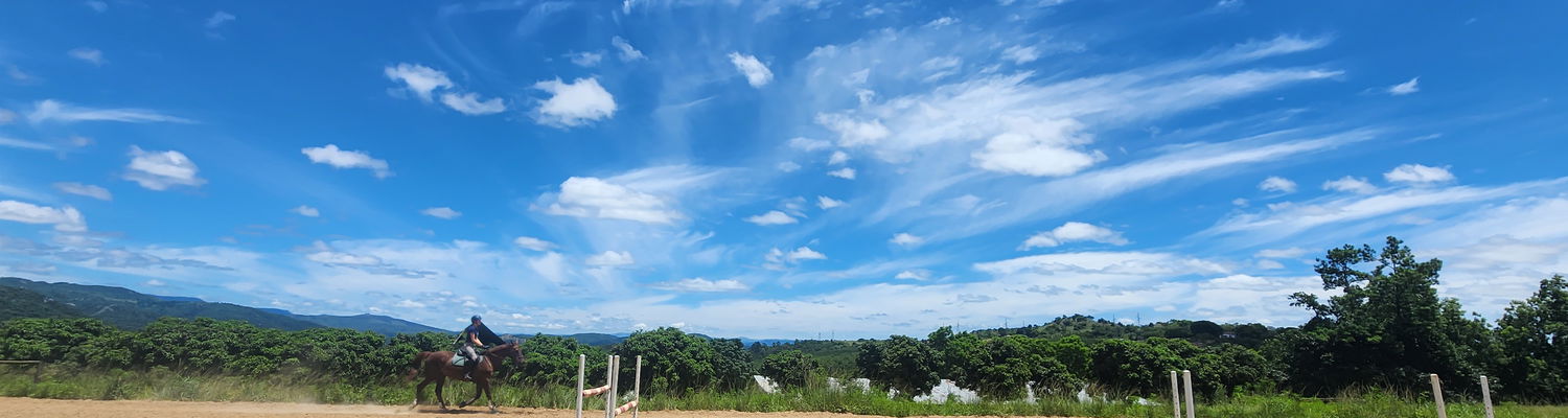 Qualified & Experienced