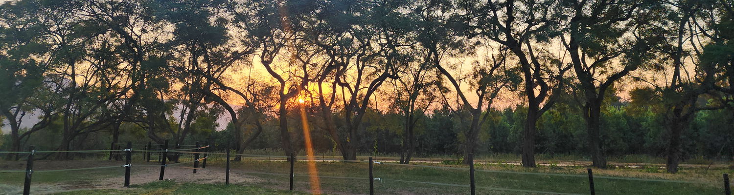 Passion Meets Experience