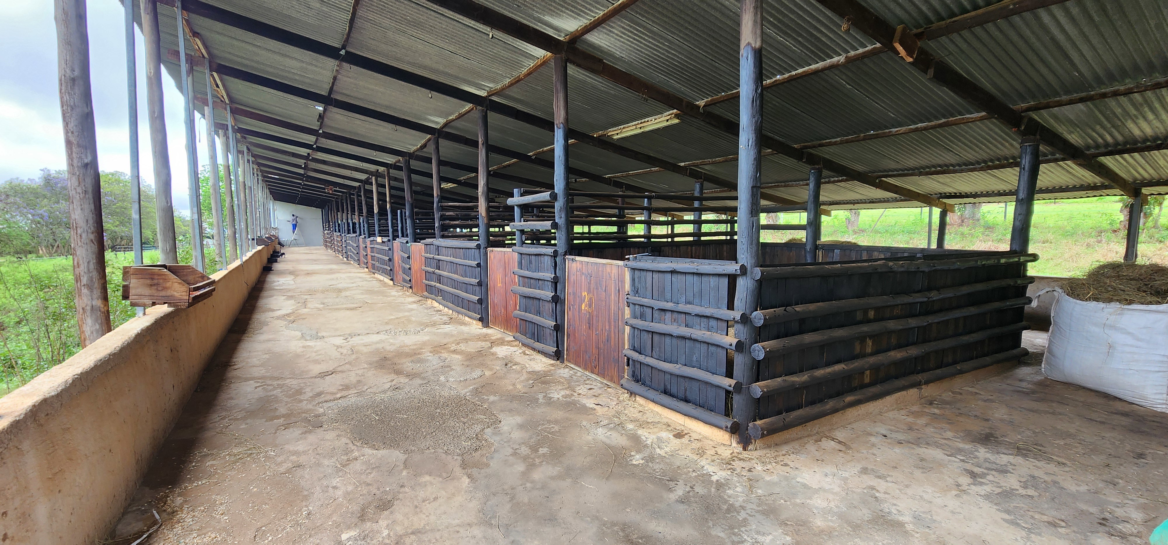 Supporting Riders & Horses