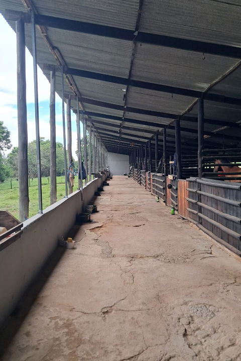 Your Questions Answered