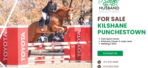 Kilshane Punchestown