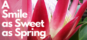 Spring Specials