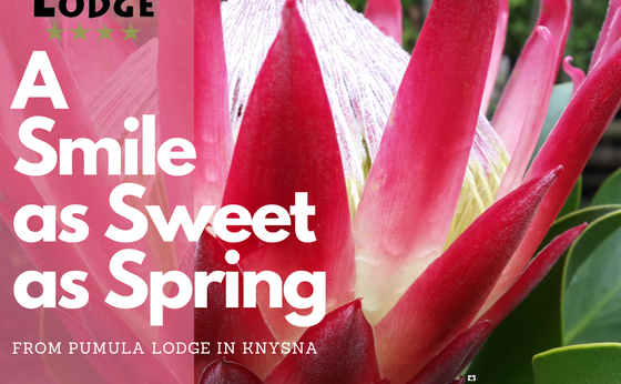 Spring Specials
