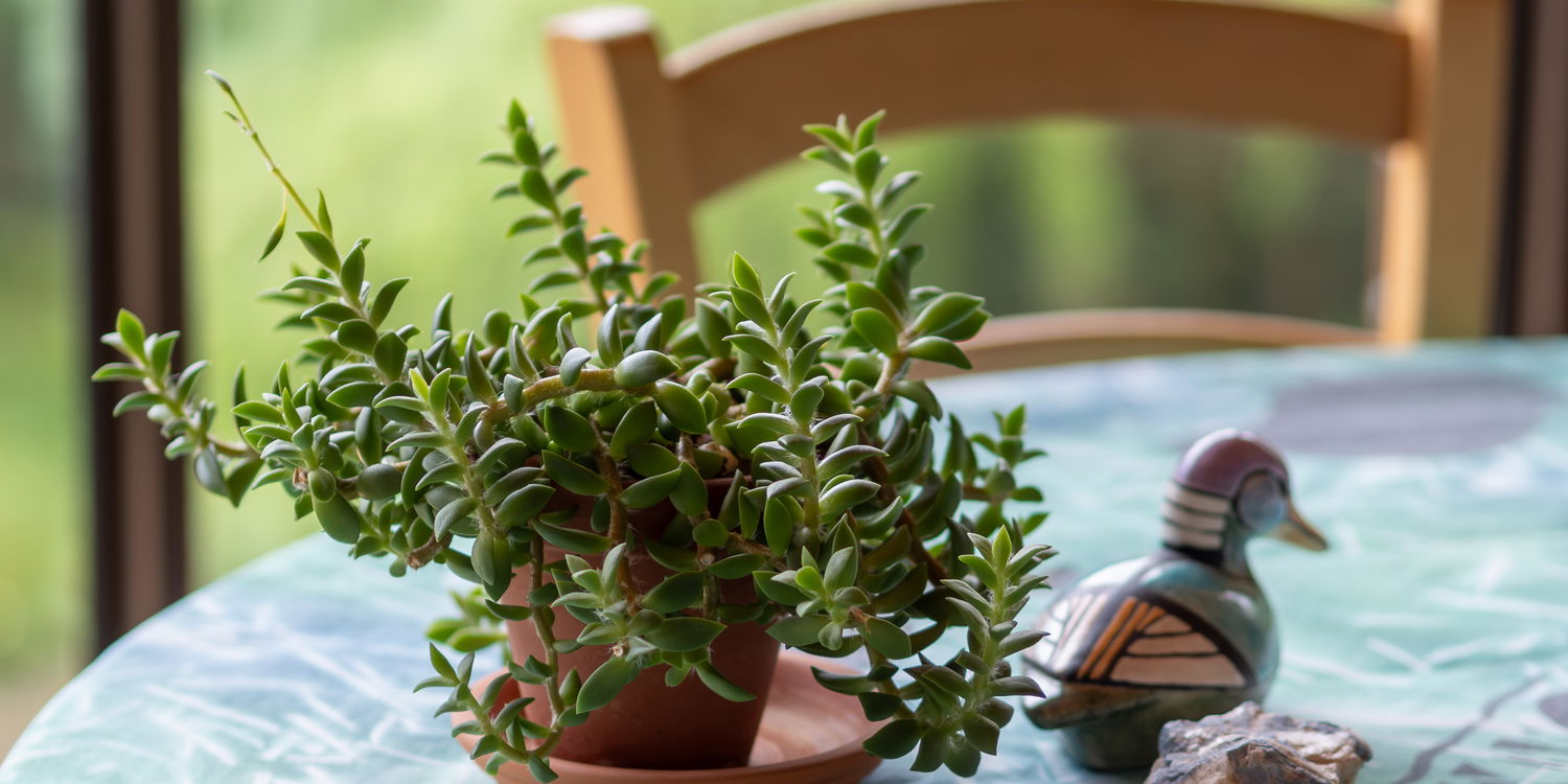 Your Home Away from Home