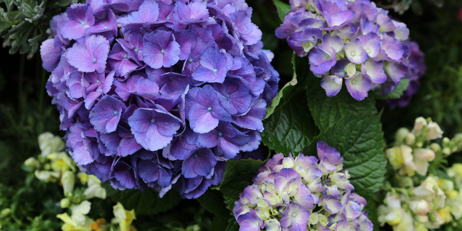 Secret Corners & Relaxation