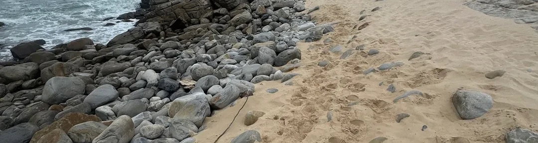 Hike Trails & Spot Local Wildlife