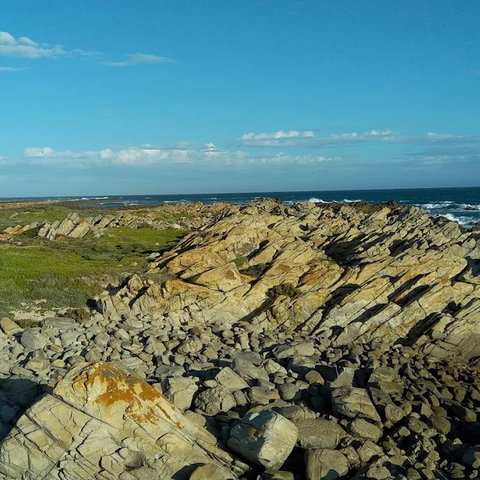 Discover Local Adventures