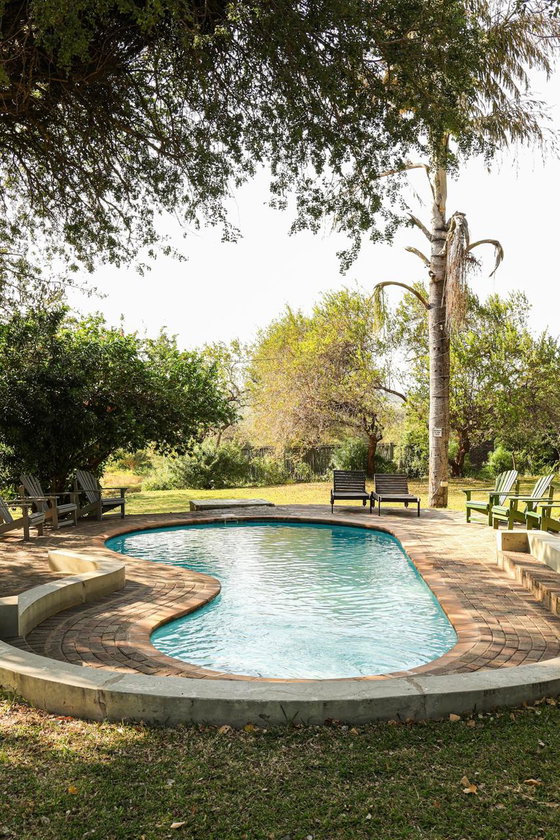 Tranquil swimming pool surrounded by shady trees, ideal for relaxing after a Kruger safari.