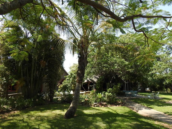 Established trees and tranquil gardens offering a peaceful escape near Kruger National Park.
