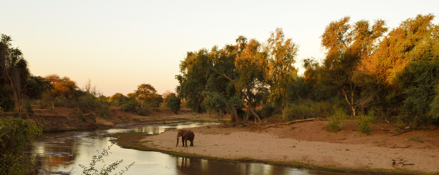 Exceeding Every Expectation