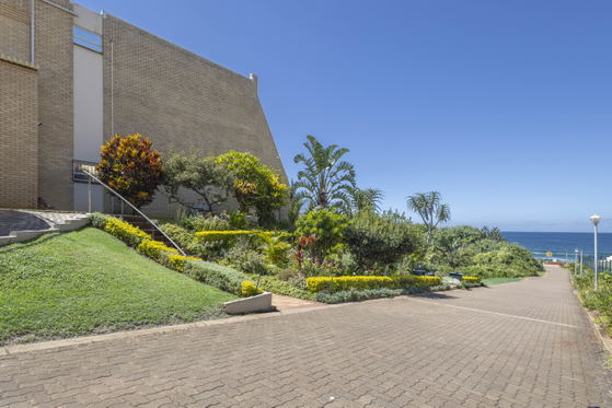 View of Surrounds