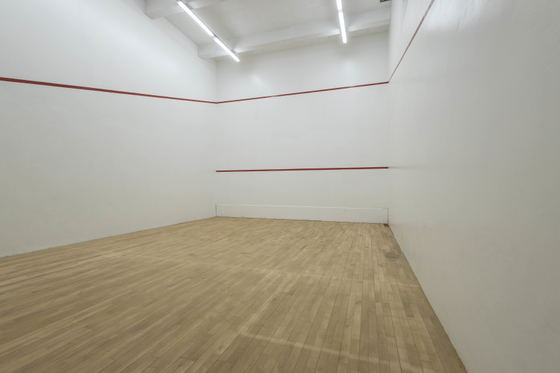 Communal Squash Court on Property