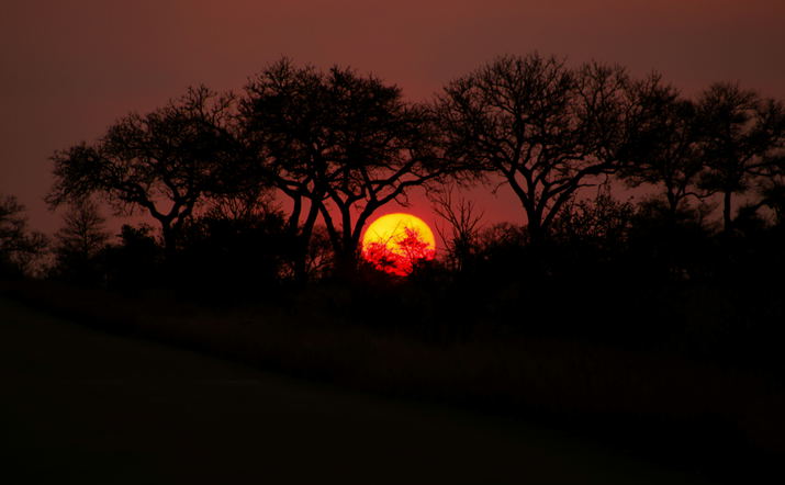 Sunset Safari Kruger National Park