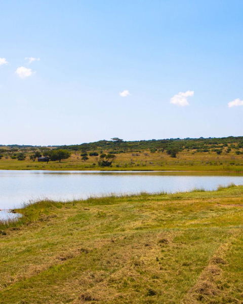 Explore the Area