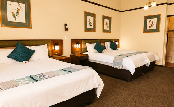 Family Room, Double & Twin Beds with Shower