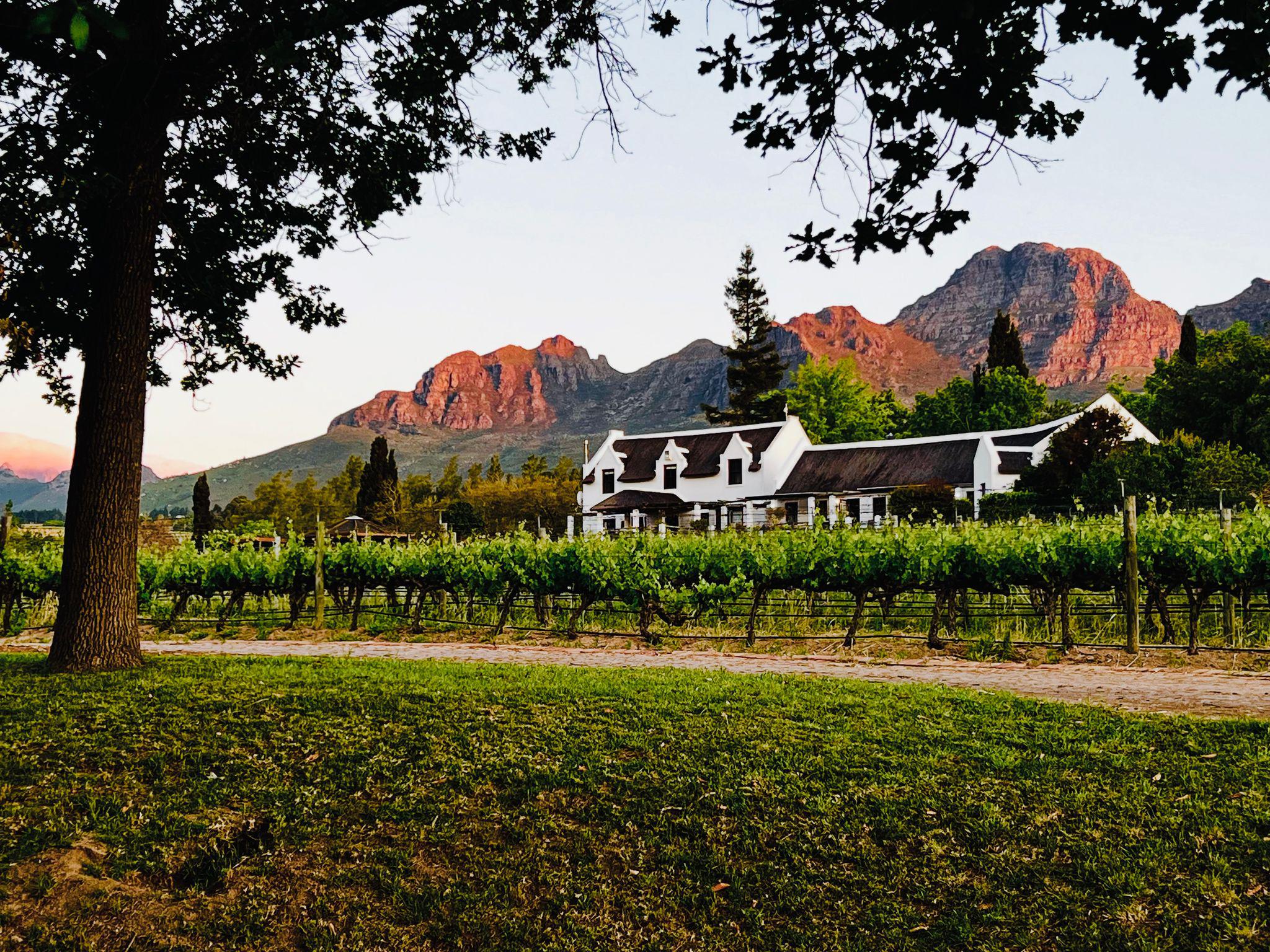 Stay in the heart of the Stellenbosch Winelands