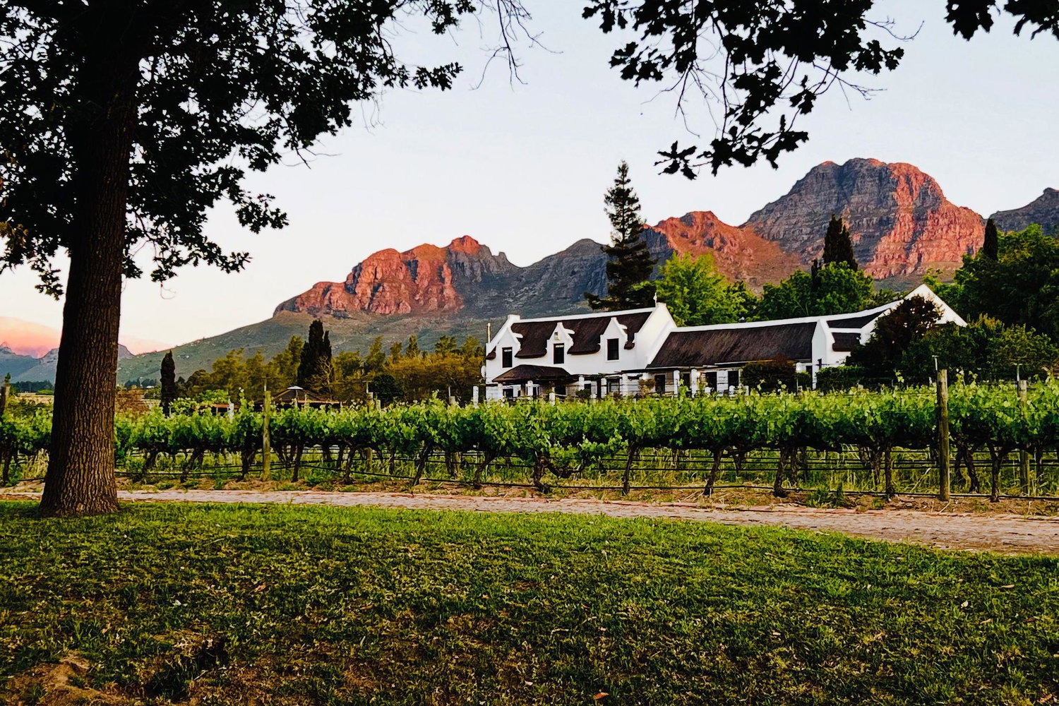 Stay in the heart of the Stellenbosch Winelands