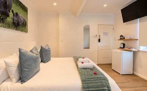 Economy Room