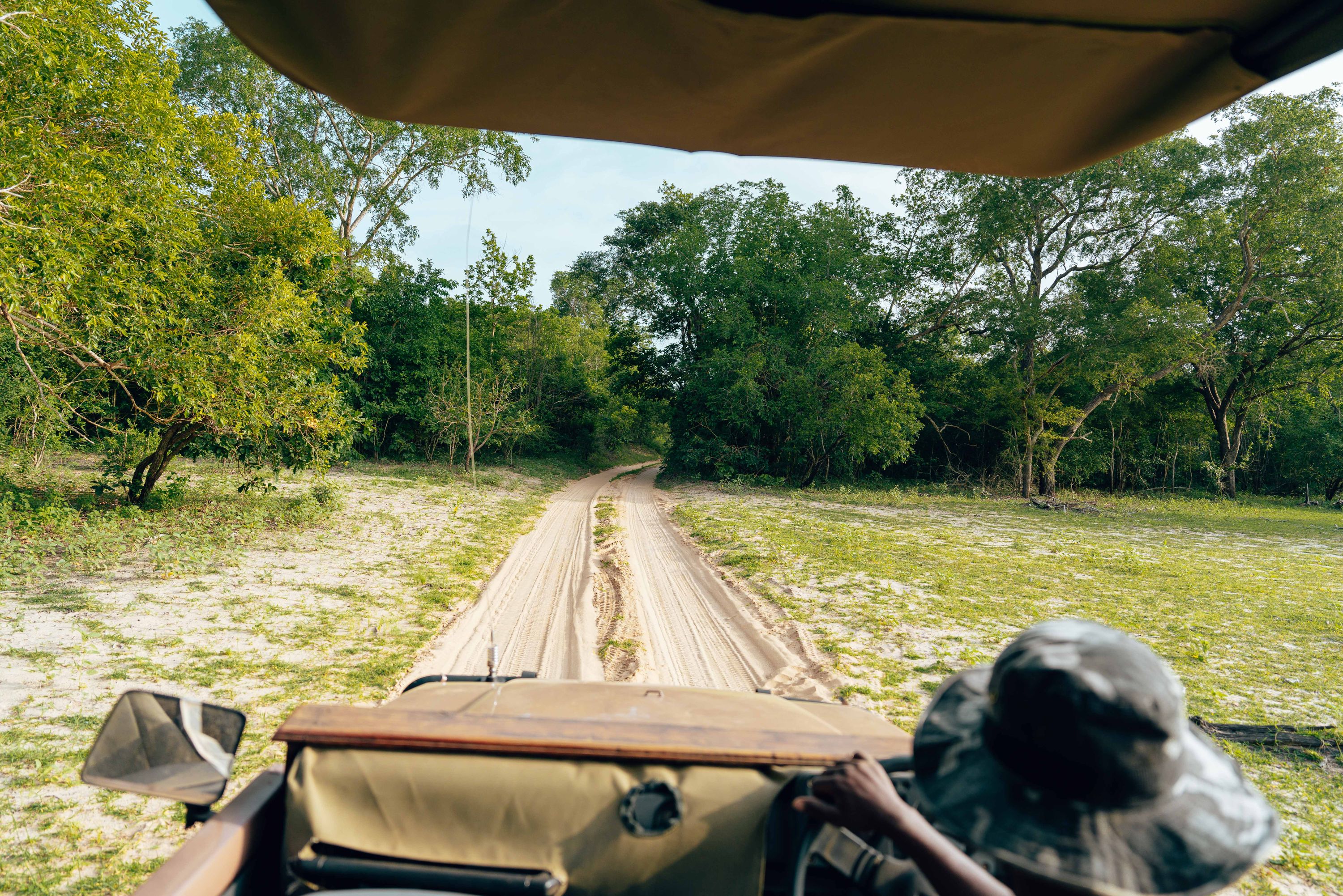 Blick aus dem Safarifahrzeug auf eine Sandpiste in der Kwatale Concession