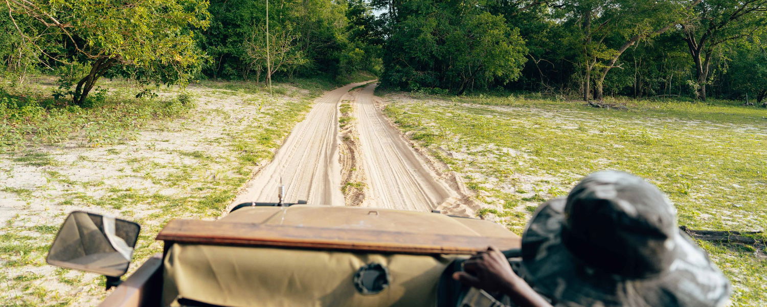 Blick aus dem Safarifahrzeug auf eine Sandpiste in der Kwatale Concession