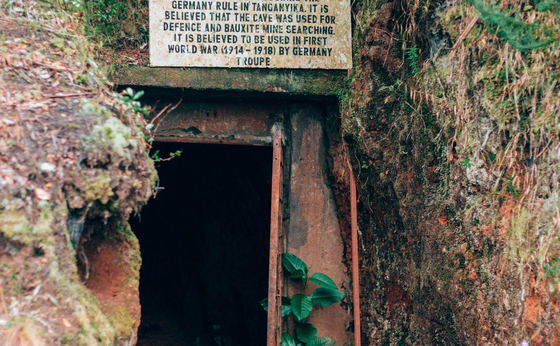 Magamba Rainforest & Irente Viewpoint