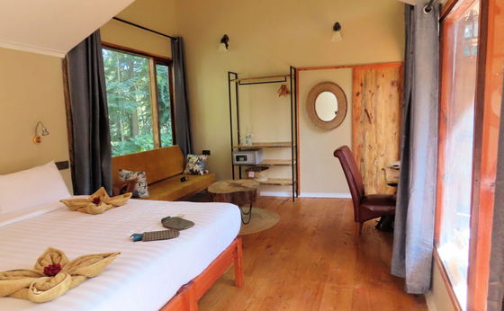 Superior Suite