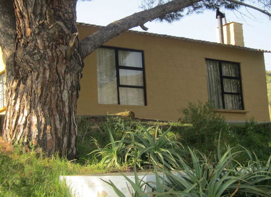 Top Cottage