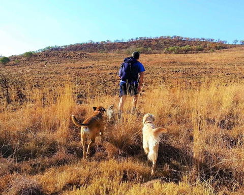 Abundant Nature & Hiking