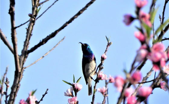 Nature, Hiking & Prolific Birdlife